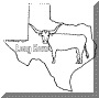 Long Horn