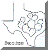 cp9.gif (32488 bytes)