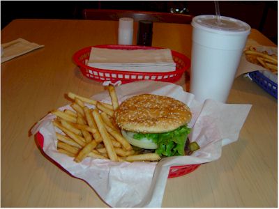 Cheese Burger w/ Fries