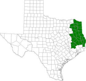 Map of Texas Piney Woods