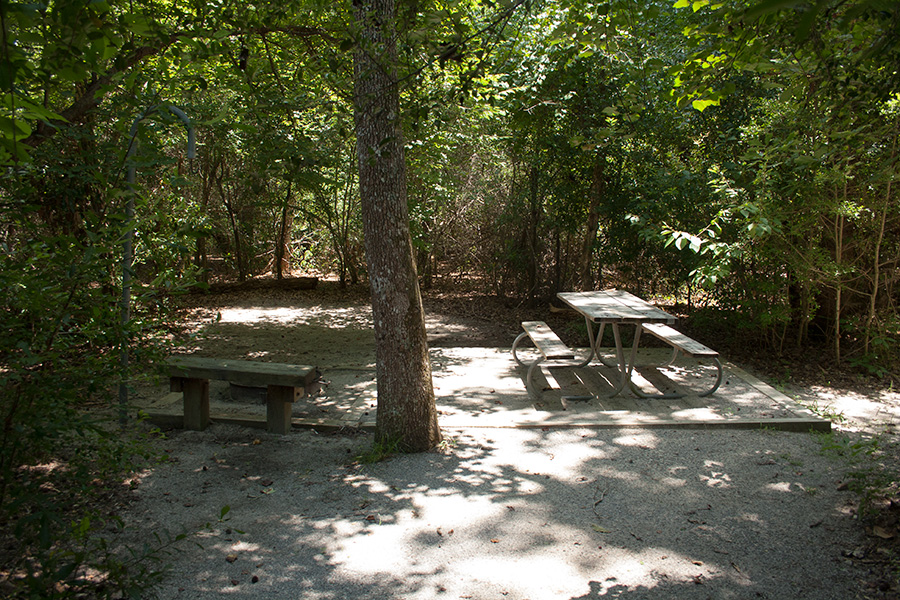 Heavily wooded, very private, walk in campsites