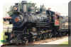 tbt_trant1.jpg (48958 bytes)