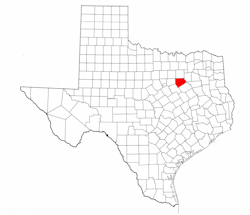 Ellis County Texas - Location Map