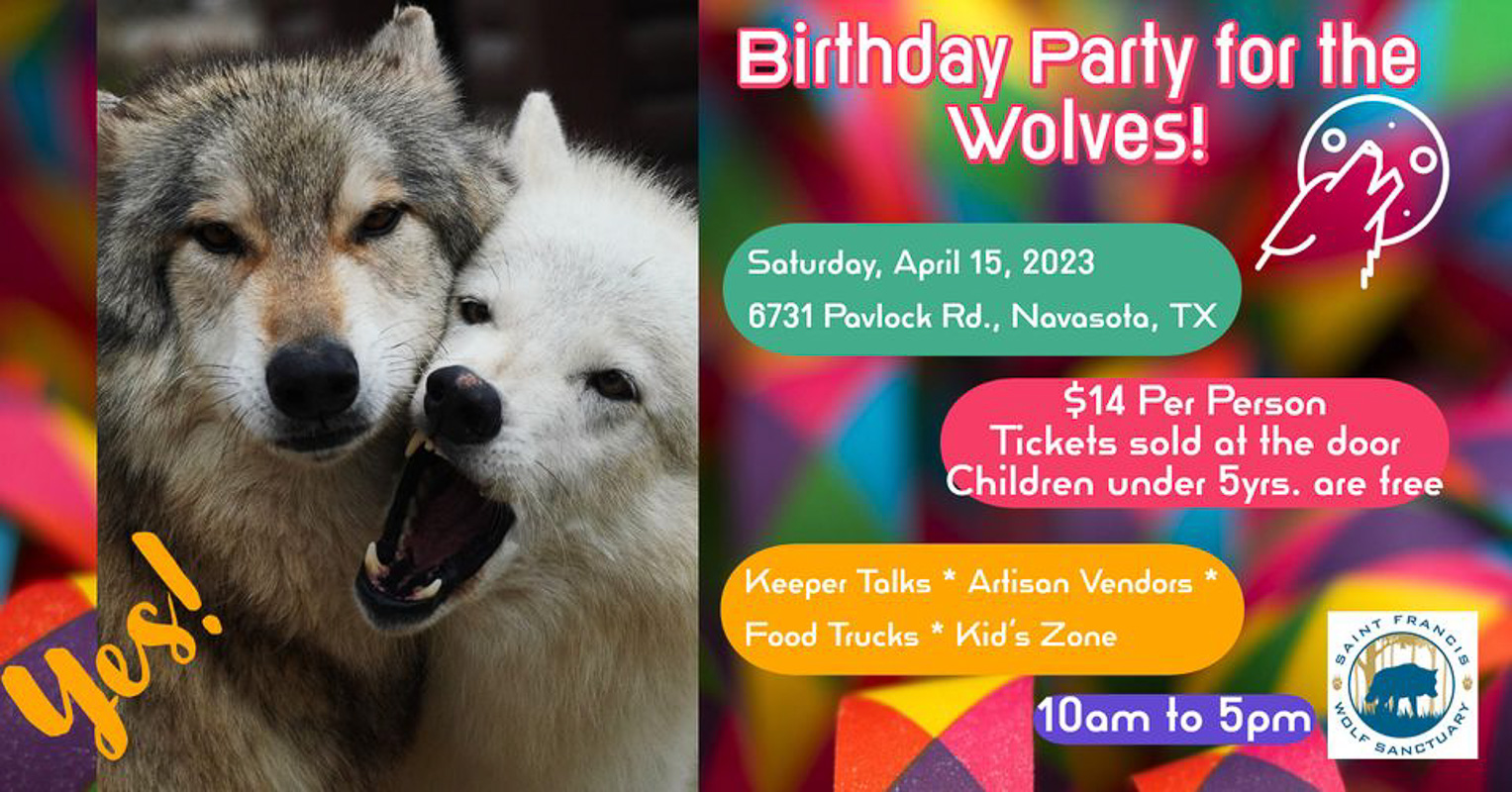 Birthday Party for the Wolves