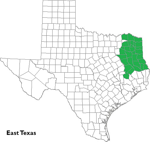 East Texas