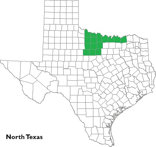 North Texas