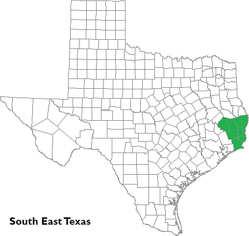 South East Texas