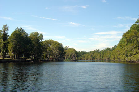 Big Cypress Bayou - Caddo Lake