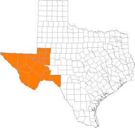 Map of Big Bend Region of Texas