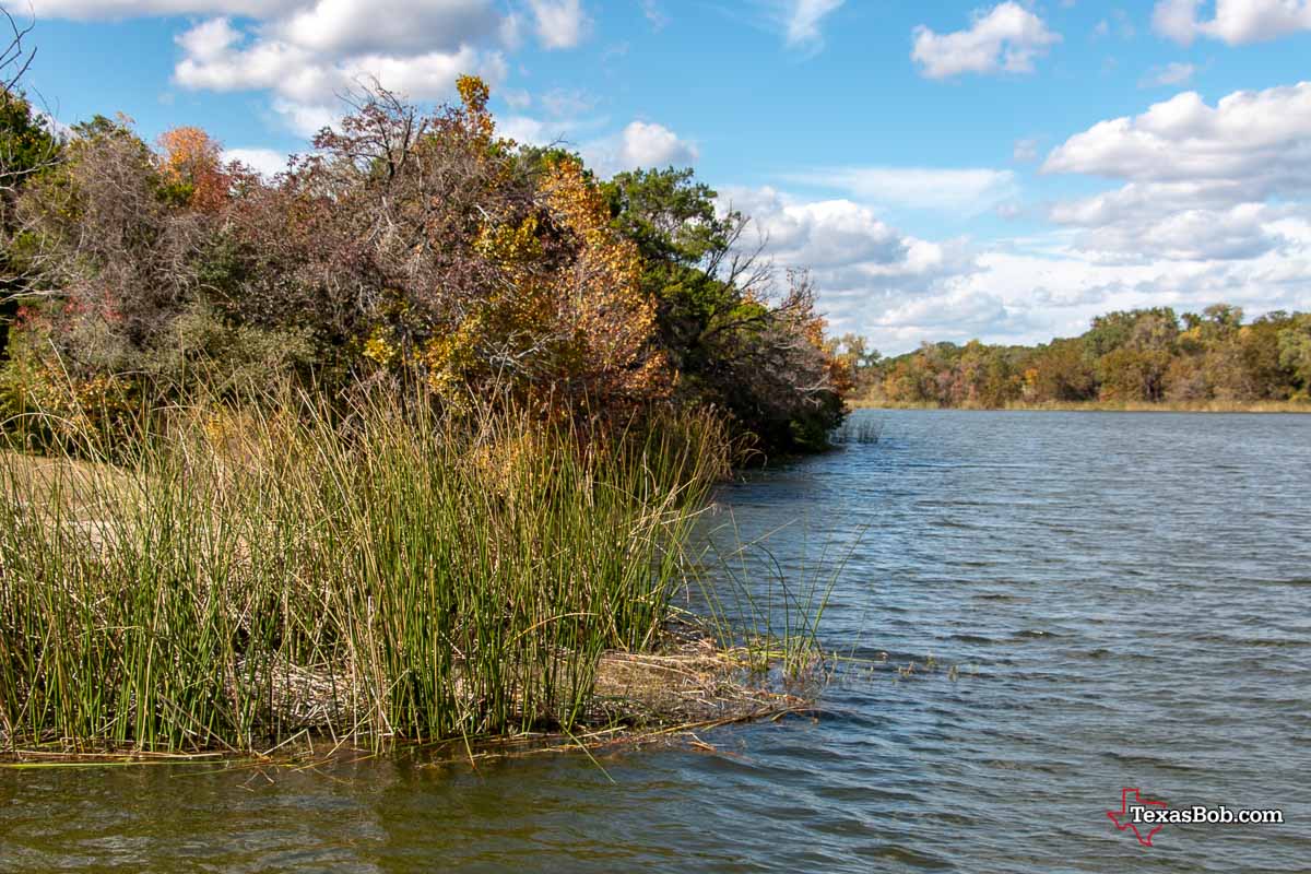 Wetland habitat around Cedar Lake