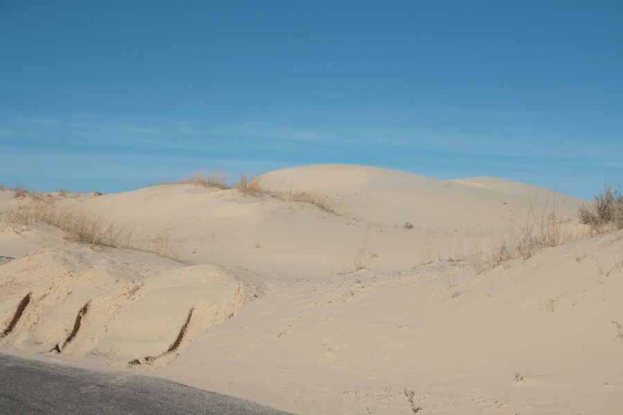 Monahans Sandhills State Park - 3840 acres of sand dunes