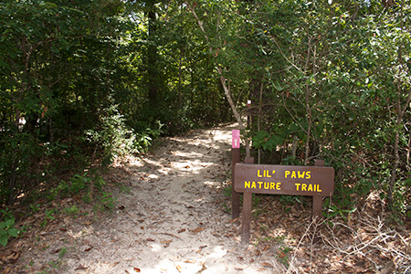 Childrens Nature Trail