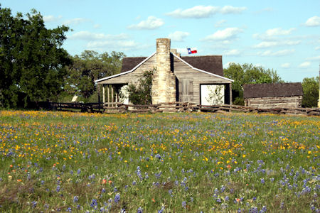 Bluebonnets at Independence, Texas