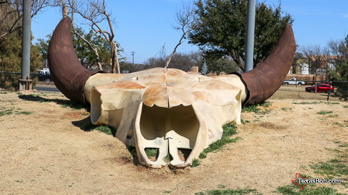 Giant Long Horn Skull