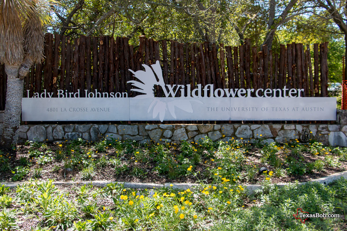 Lady Bird Johnson - Wildflower Center